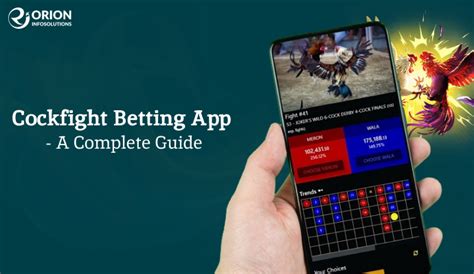 fight betting app.
